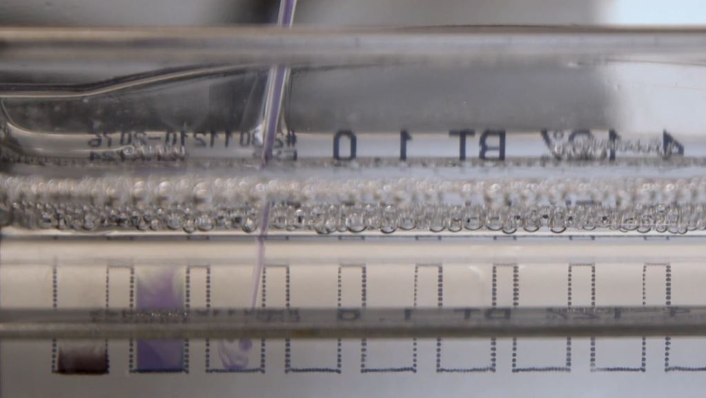 New Western Blot Protocol Video!